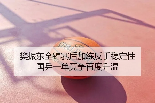 樊振东全锦赛后加练反手稳定性 国乒一单竞争再度升温